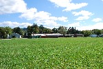 Museum Grounds