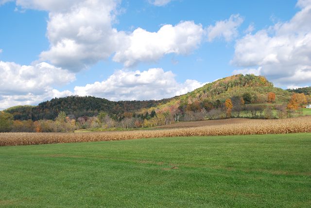 Northeast Landscape