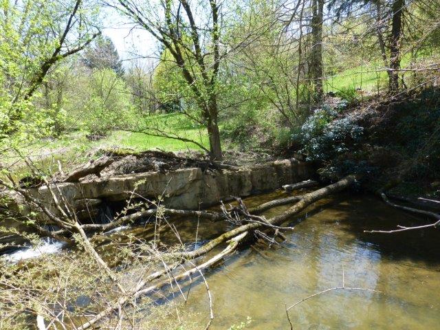 Remains of dam