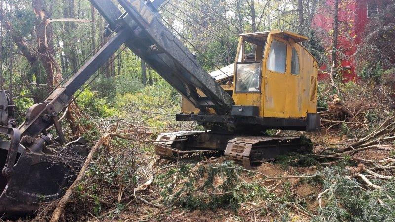 New Pavilion Beginning