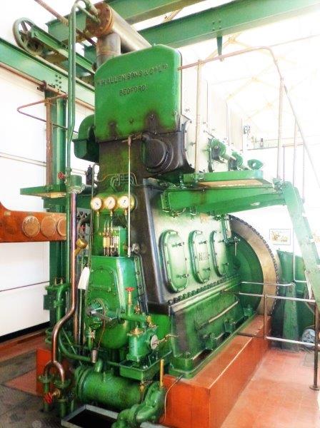 Allen Diesel
